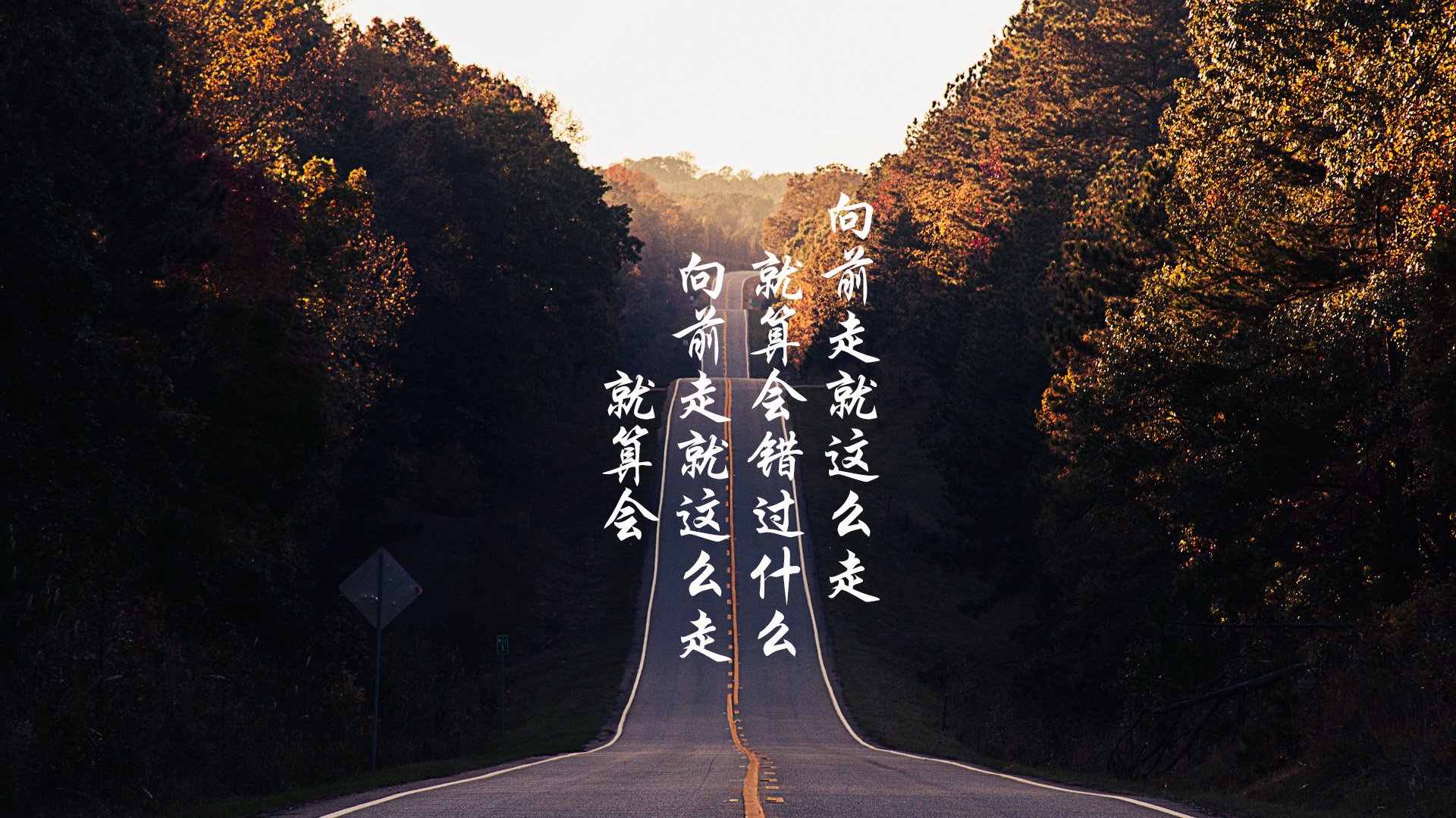 _运动摄影展:捕捉运动瞬间的艺术_,运动摄影有哪些形式