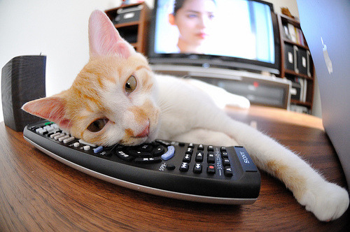 开云·体育官网APP下载-意甲激烈对抗，表现突出的球员不断创造精彩瞬间，意甲队伍