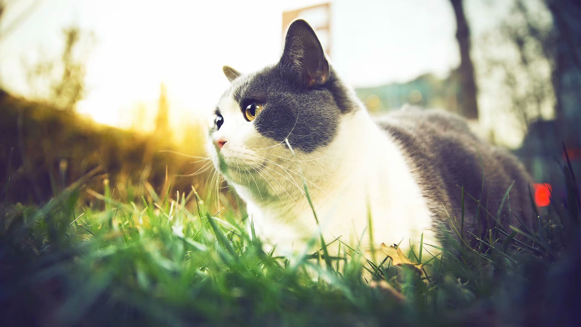 开云平台-欧冠舞台，最具戏剧性的逆转闹剧，欧冠名场面