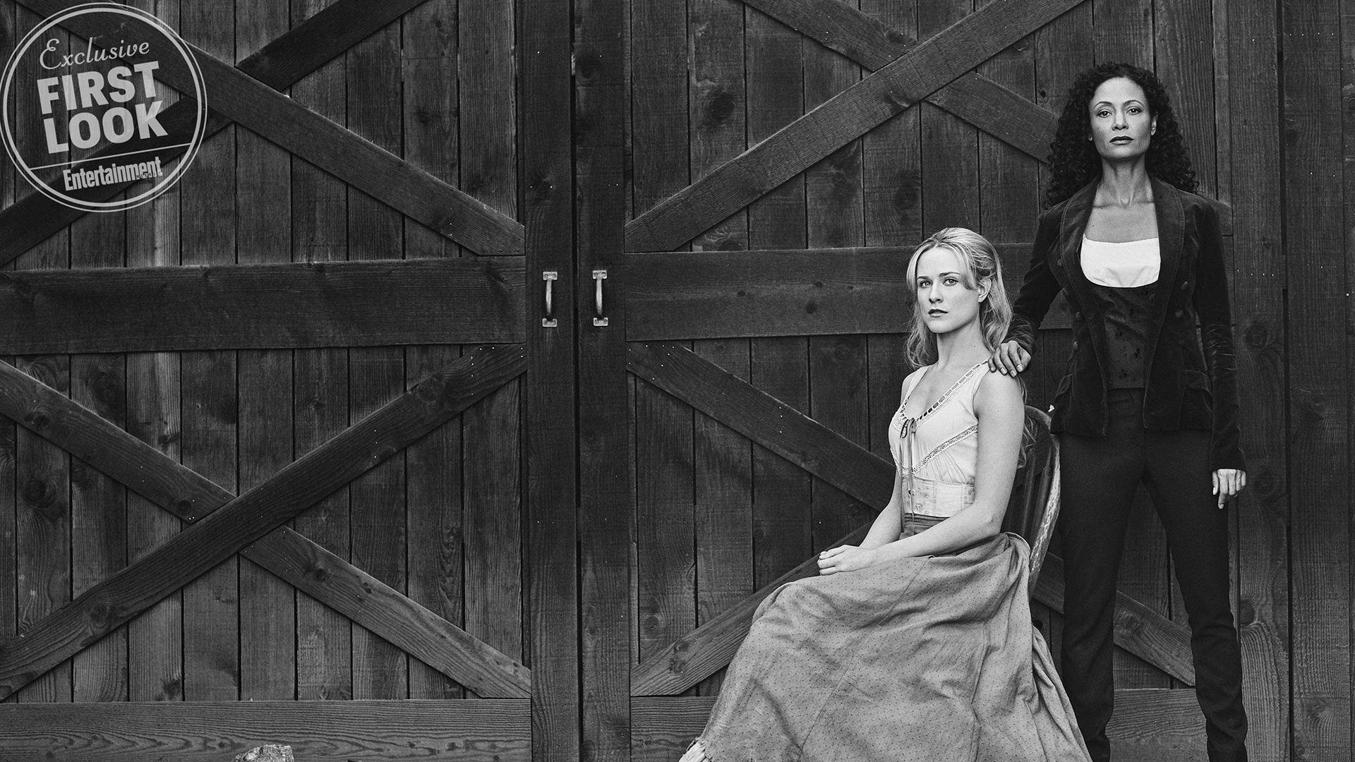 篮球赛事观众互动体验持续创新,篮球比赛观众心得体会