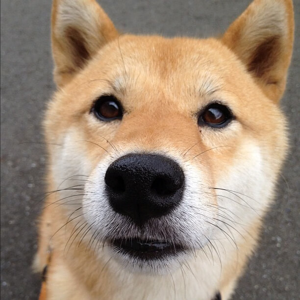 中超比赛录像分析系统广泛应用,中超实况录像