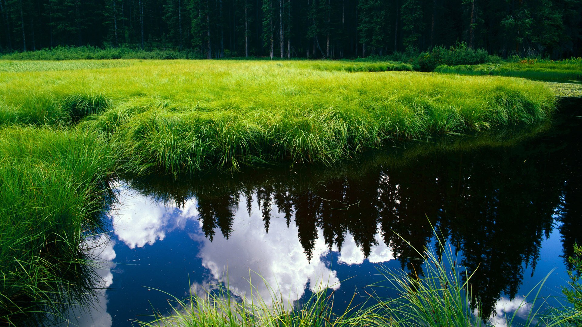 亚洲杯赛上演精彩对决 中国队凭实力击败对手,亚洲杯中国队比分分析