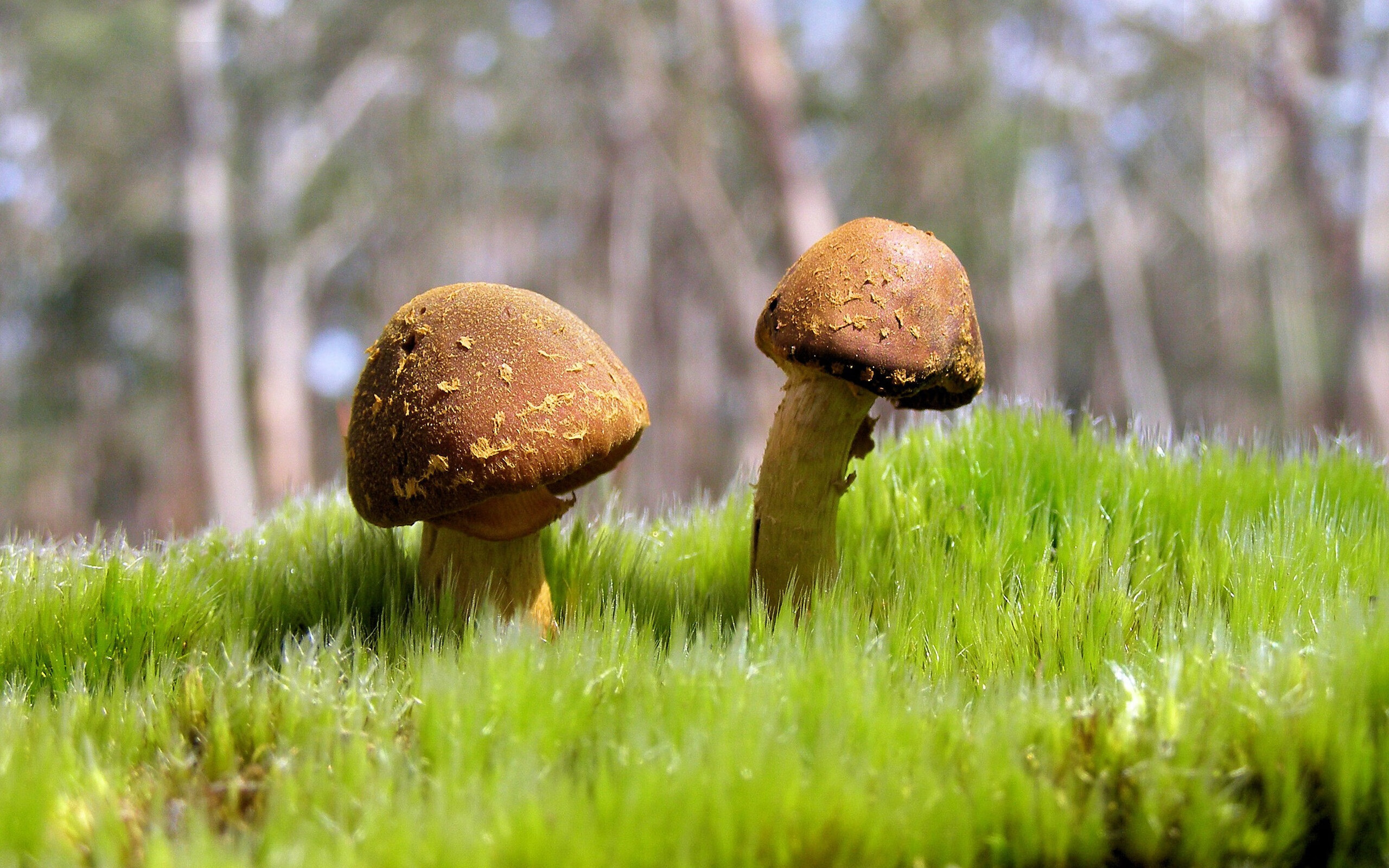 冠军联赛中球队展现出强大的竞技水平,冠军联赛分组