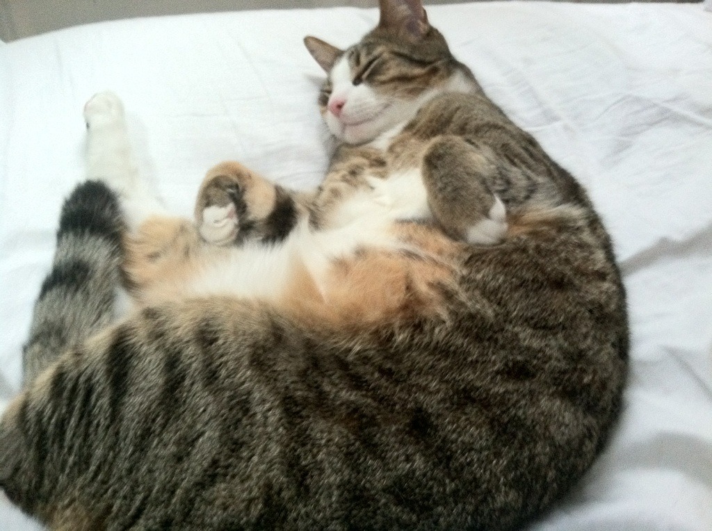 开云体育-梅斯客场逼平尼斯，保持不败战绩继续前进，梅斯nba