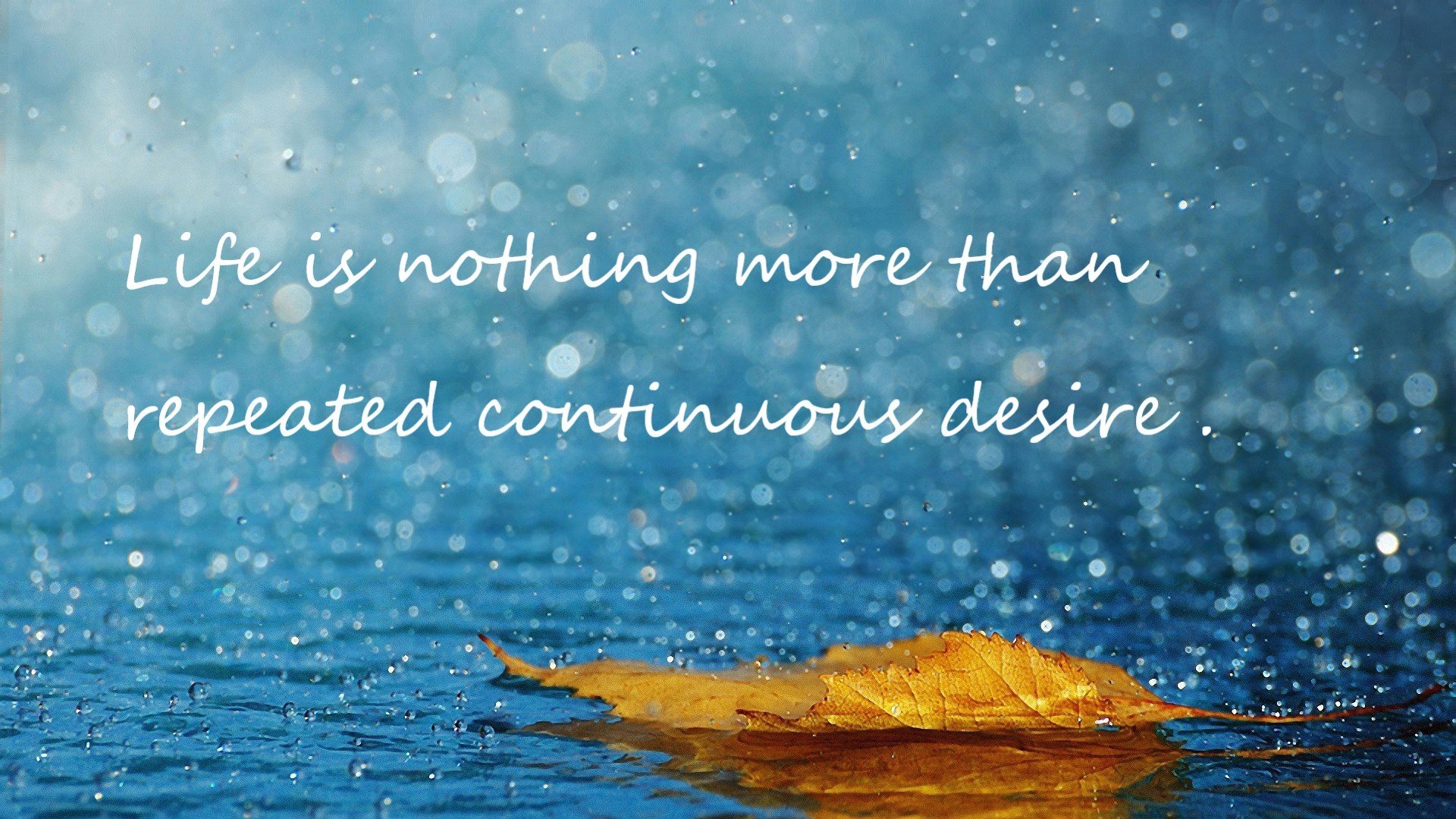 法甲球队势如破竹,连胜引人瞩目,法甲球队实力定位