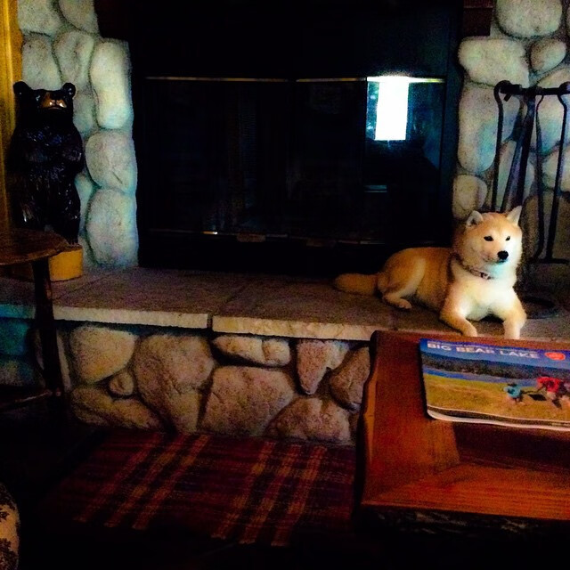 开云网页版-艾菲斯欧冠季后赛止步四强，力争新赛季突破，欧篮艾菲斯