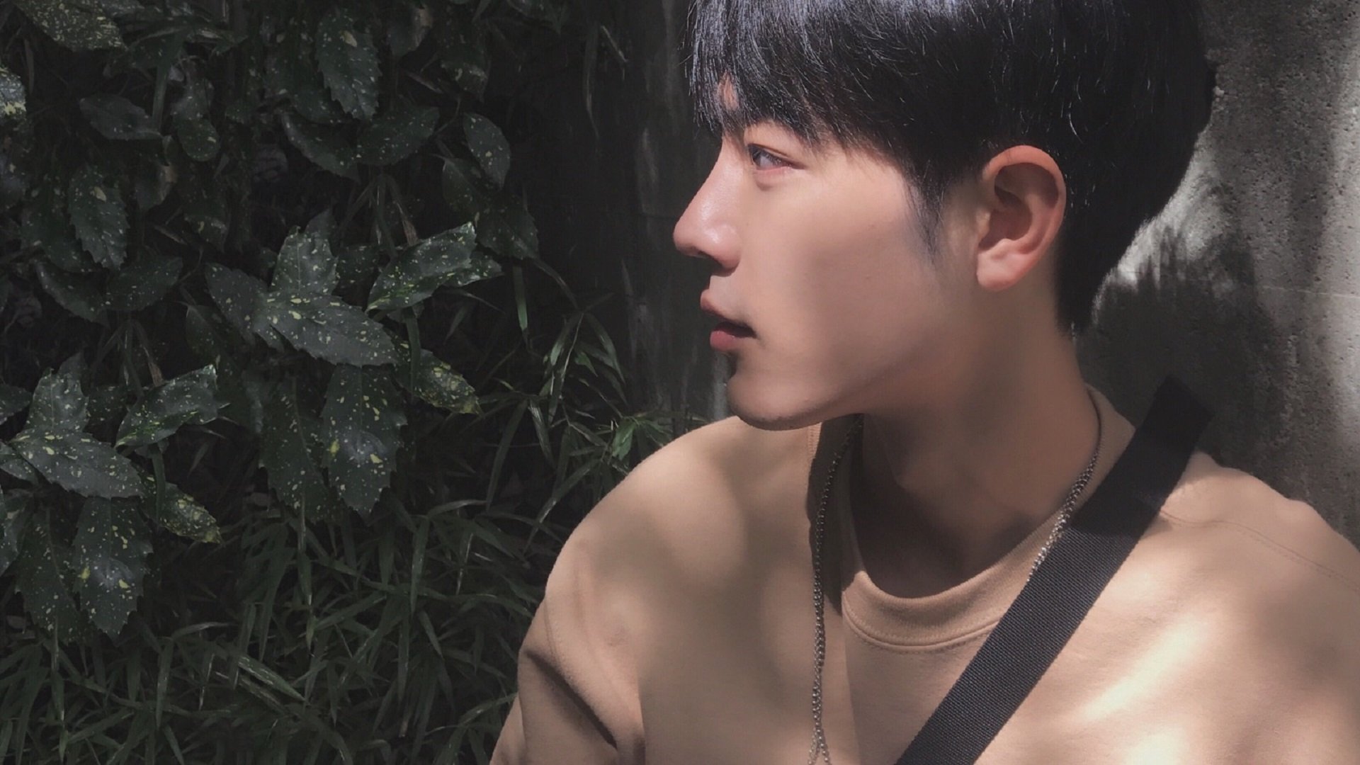 阿森纳主场逆转胜利,球迷狂喜赛况,阿森纳比赛集锦