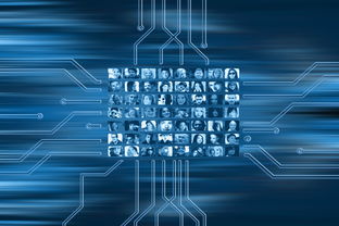 开云网页版登录入口-NBA球队市场营销数字化转型实践探索，nba营销模式