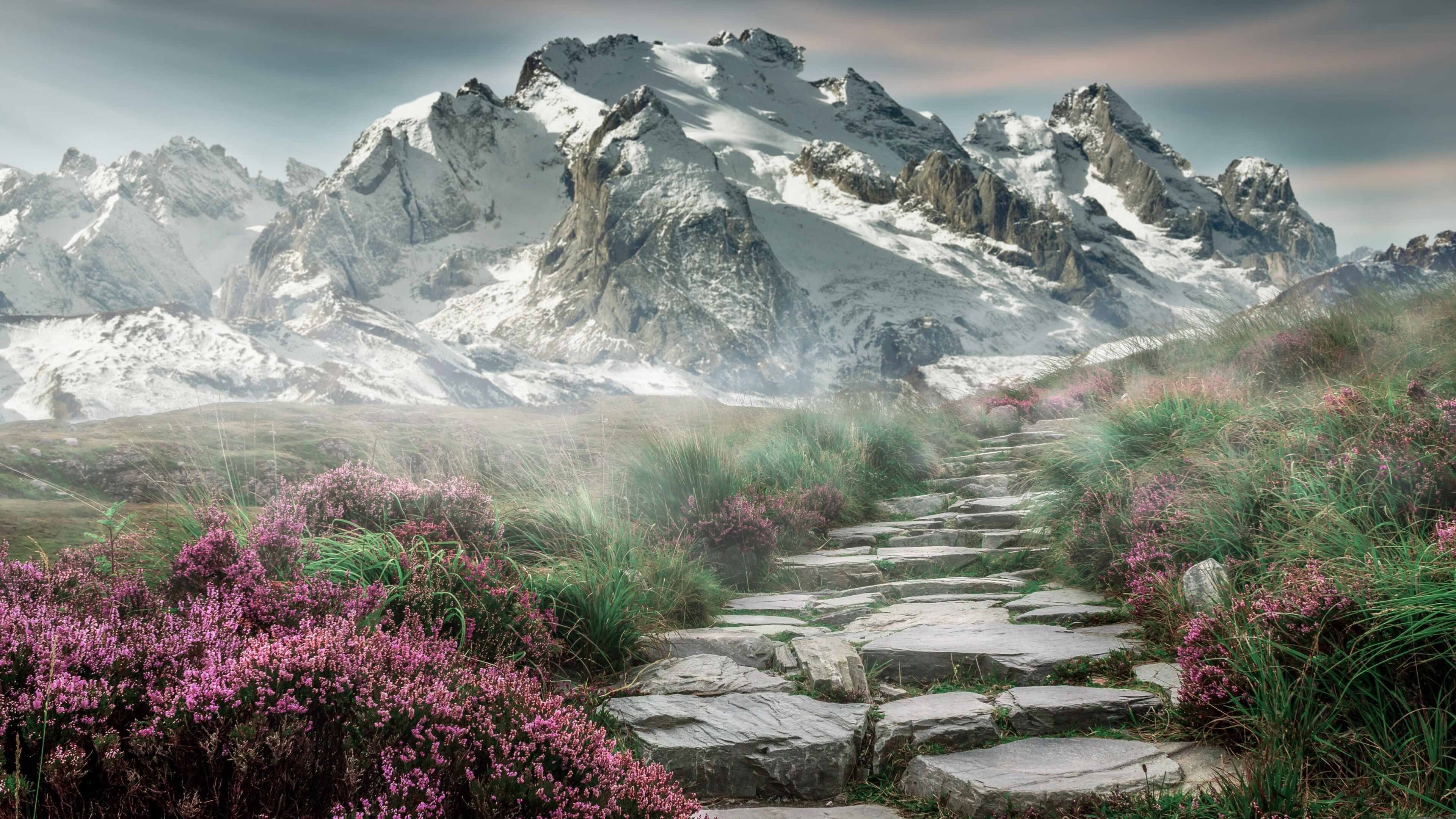 NBA球队战术创新研究报告,篮球战术研究