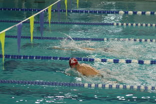 开云网页版登录入口-世界青少年游泳锦标赛中国运动员表现优异，世界青少年游泳锦标赛中国运动员表现优异吗