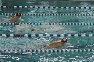 kaiyun中国官方网站-亚洲游泳冠军赛孙杨携队友力夺接力金，中国游泳冠军孙扬