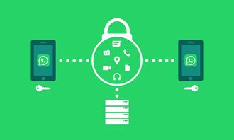 kaiyun体育综合-体育新闻采编流程中的内容安全机制构建，体育新闻报道要求