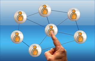 开云官方网页登录-意甲球队季中高强度赛程负荷与表现关系研究，意甲各项记录