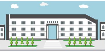 开云中国大陆-高校体育学科建设与科研产出分析，高校体育学科建设与科研产出分析报告