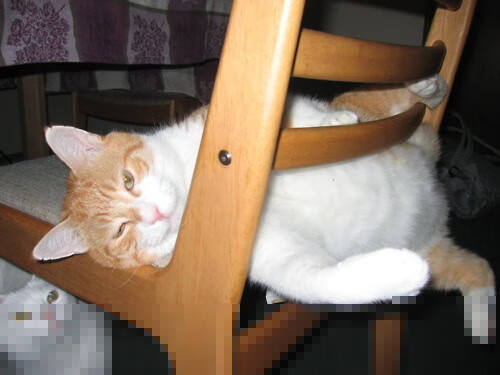 高校运动训练负荷监控技术研究,运动负荷监控方案