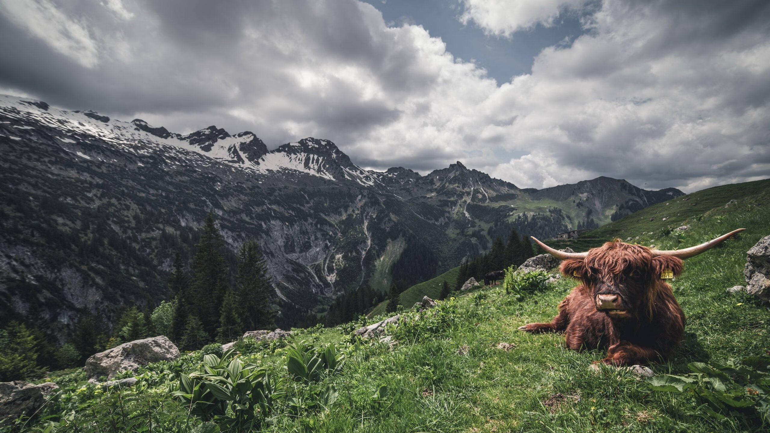 亿级奖金回报无奈出局,尤文盈利战绩夹缝中求存,尤文经典比赛