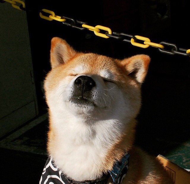 女子举重全国冠军赛中国选手刷新纪录,女子举重中国参赛