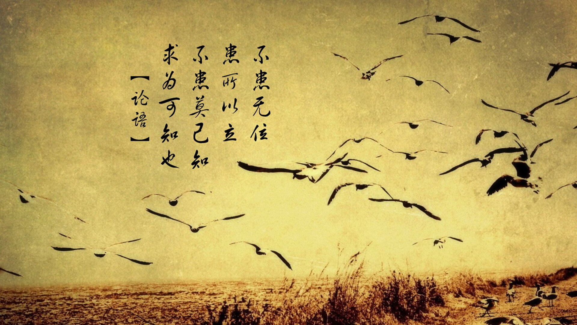 女子举重全国冠军赛中国选手刷新纪录,女子举重中国参赛