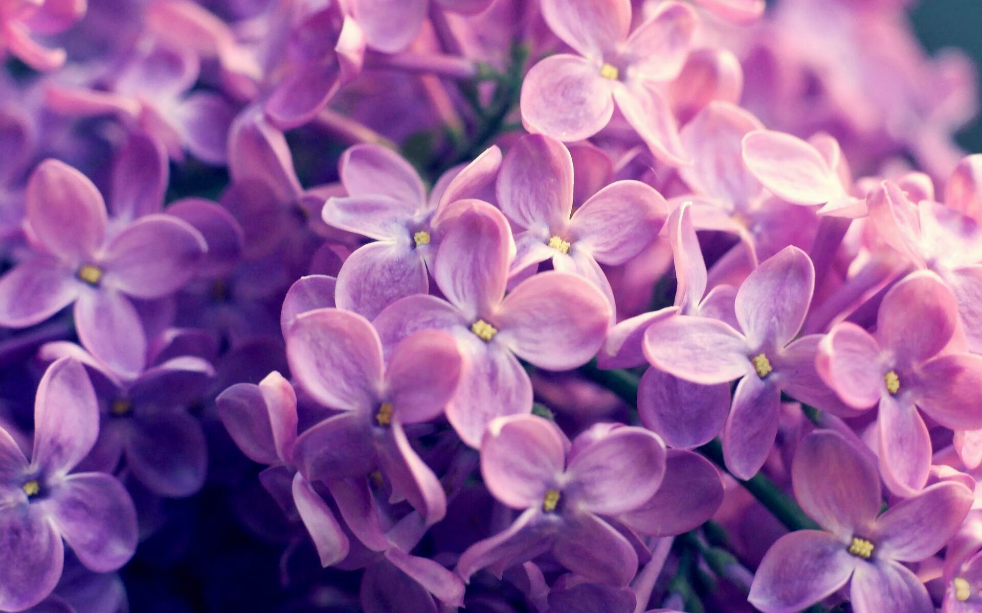 替补球员是否能快速适应比赛节奏变化,替补球员应从什么位置入场