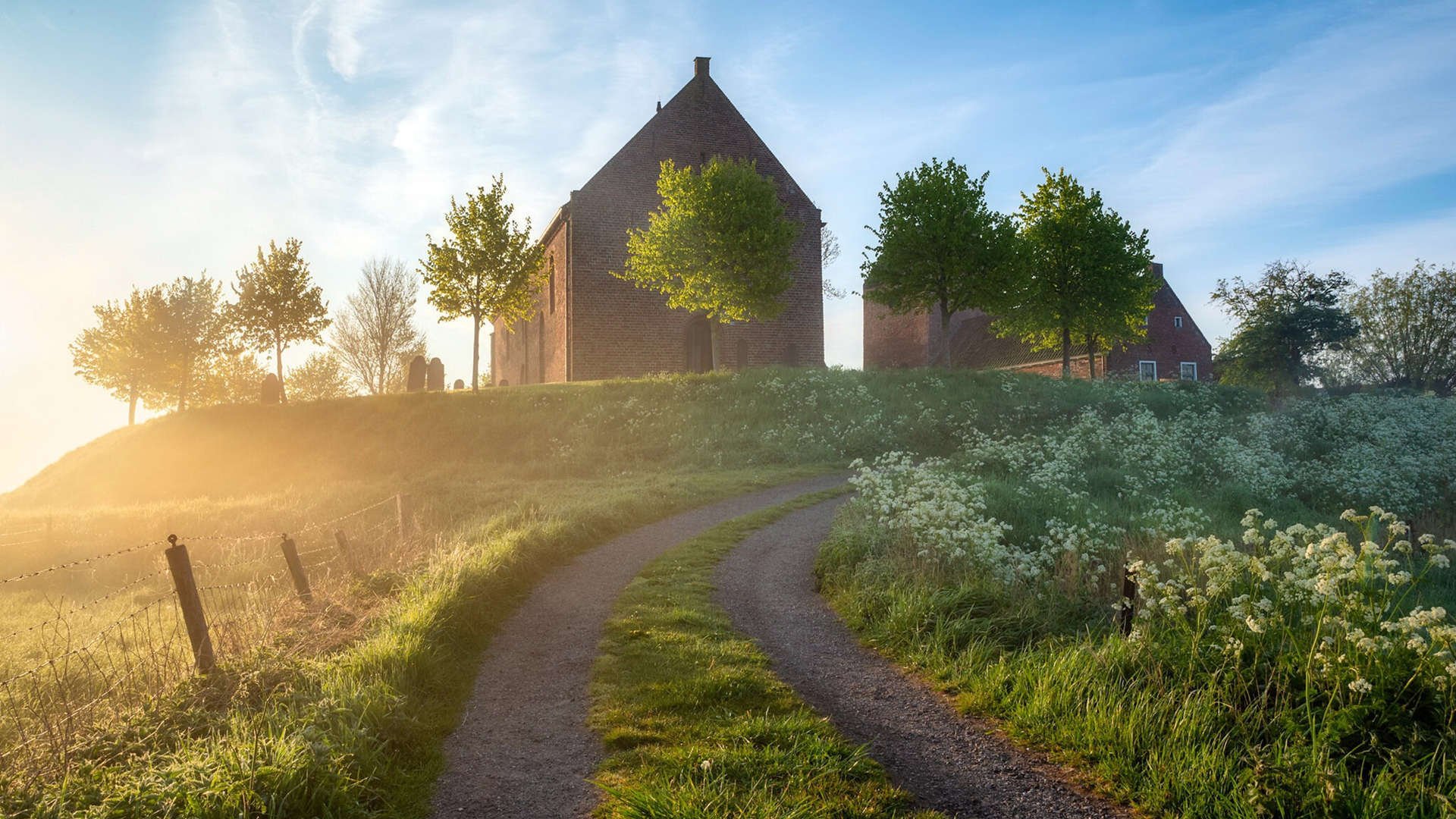 瑞典乒乓球队未来的核心:年轻化与经验化并重,瑞典的乒乓球优秀选手