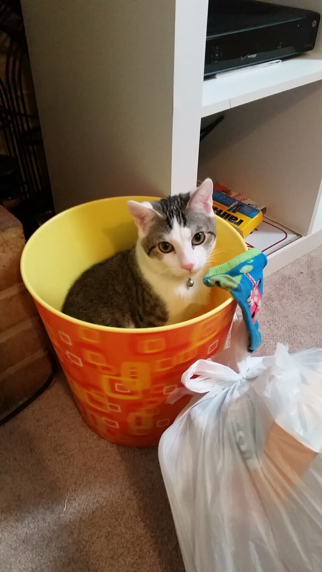 中国足球需补强基层联赛才能筑牢顶层目标,中国足球协会关于足球竞赛规则