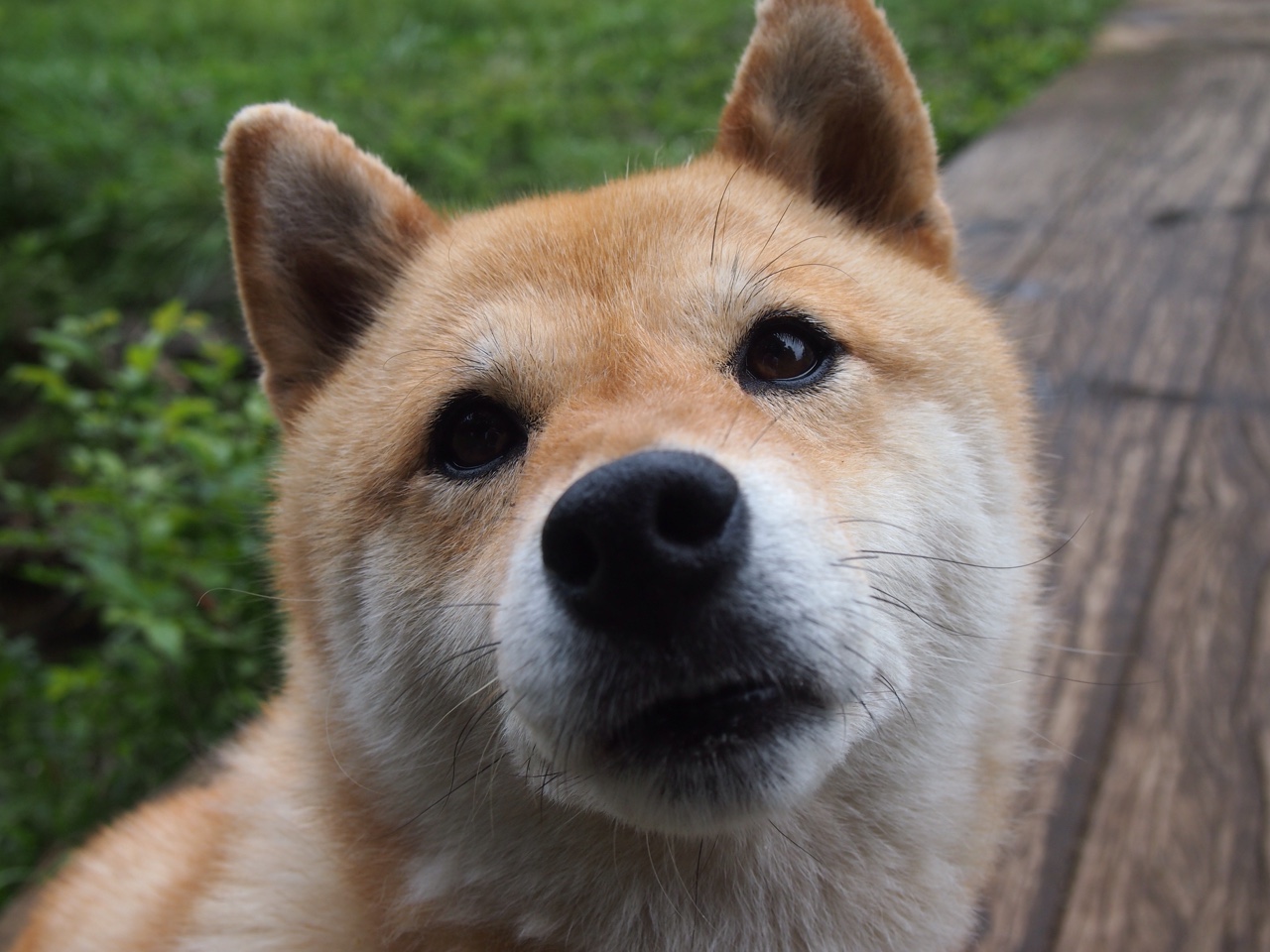 KAIYUNAPP-哈伦展现极致爆发力与稳定性，什么叫哈伦