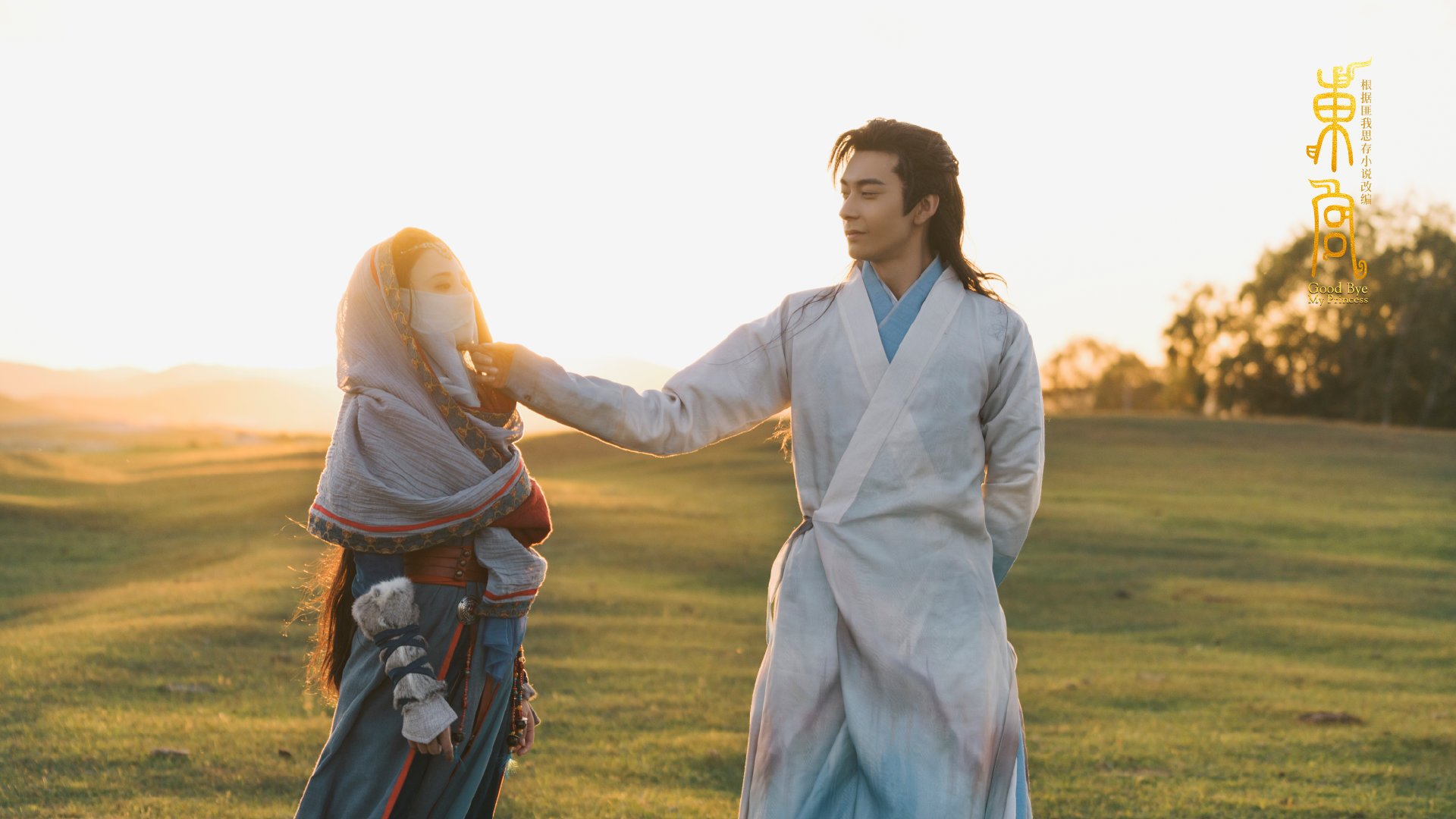 美洲杯赛场治安与球迷安全,美洲杯争议判罚