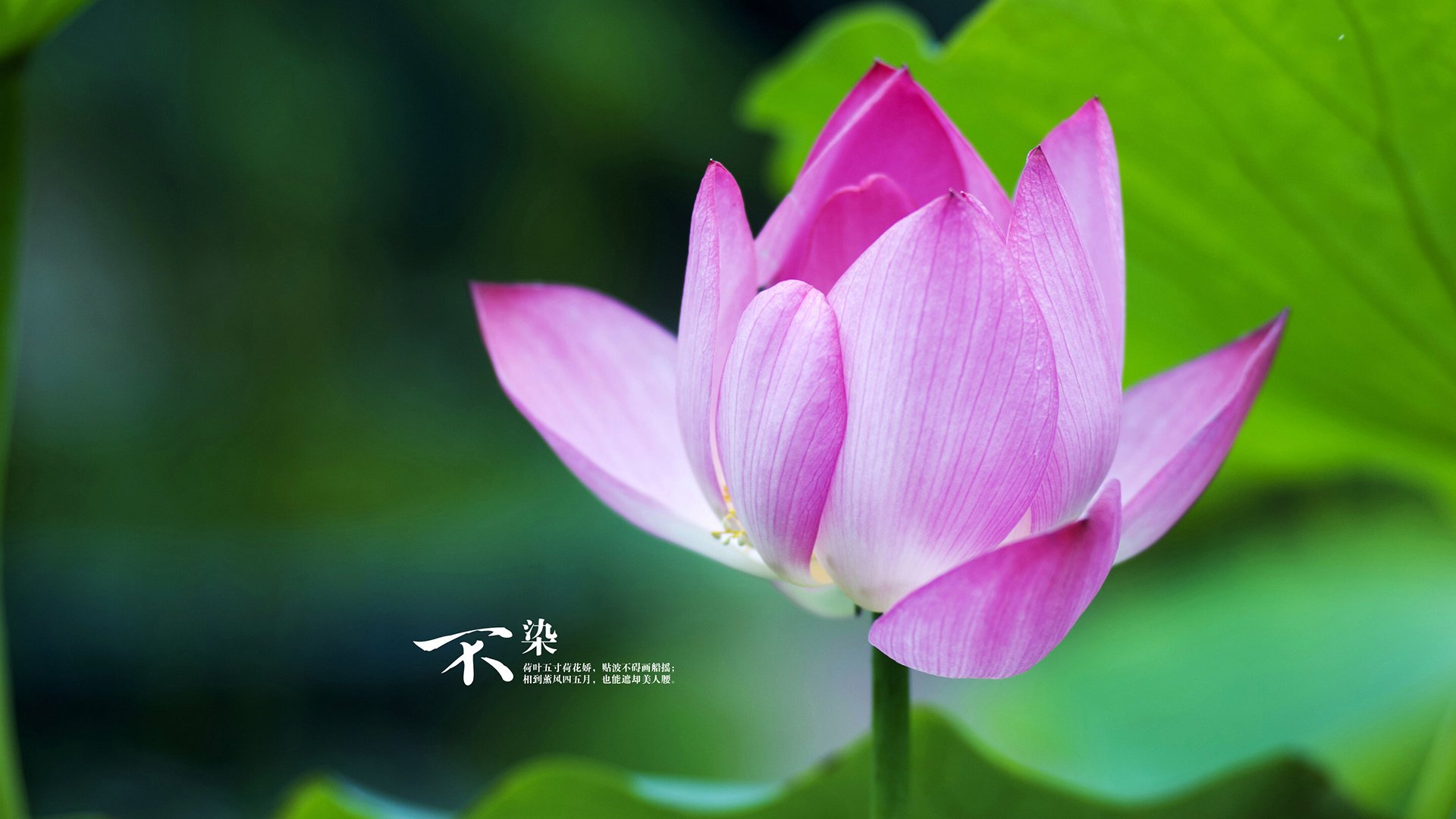 英超的商业广告合作案例,英超场边led广告报价