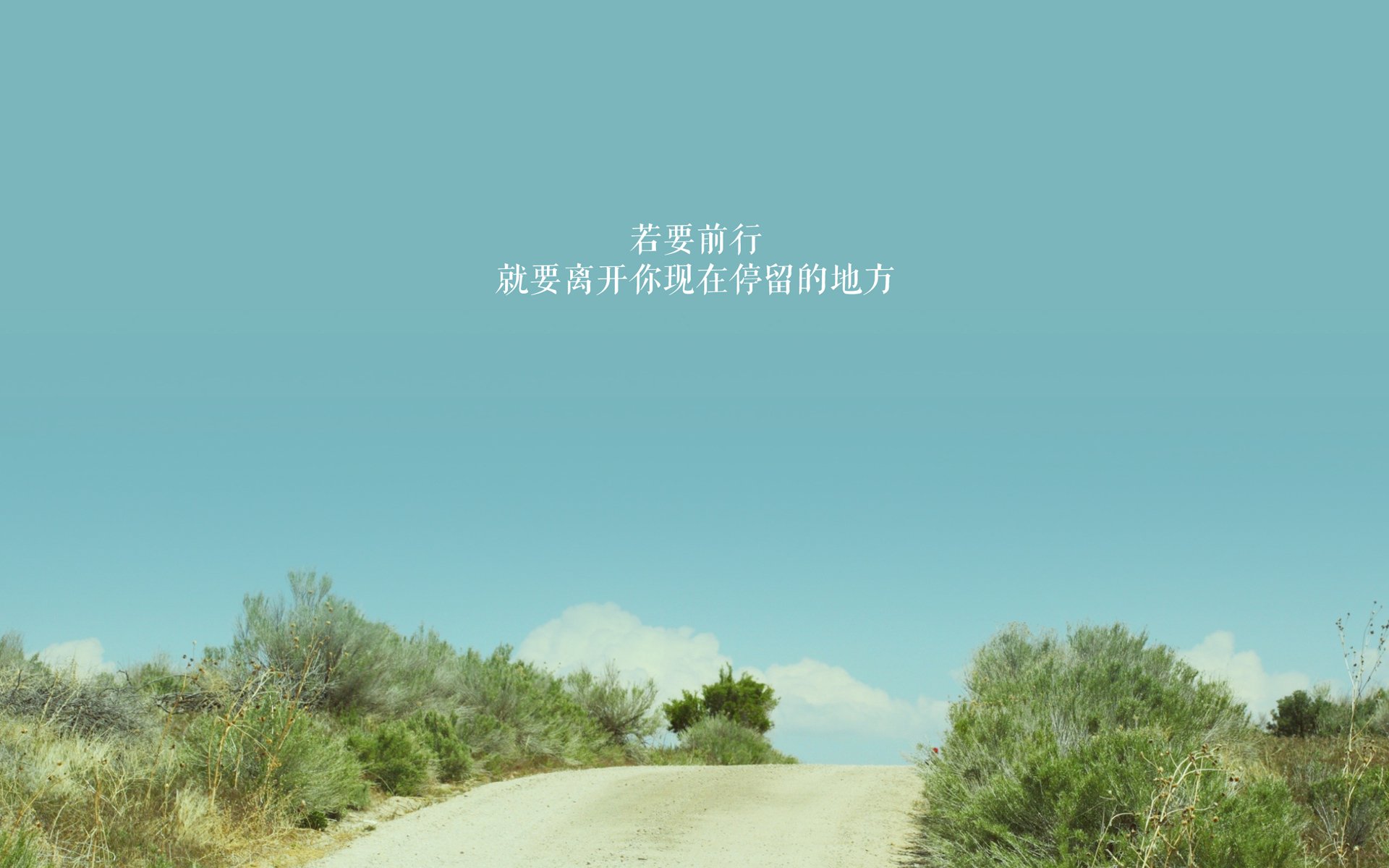 kaiyun.com-跳水组合展现高默契完成度，跳水组合吵架