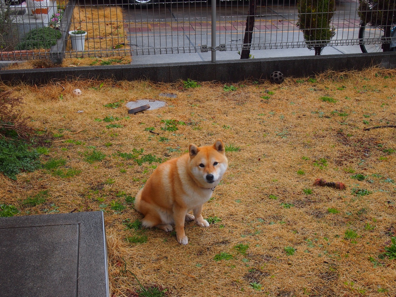 霍特·巴雷特:凭借精准的长传和脚法,成为全黑队的得分引擎,霍巴特视频
