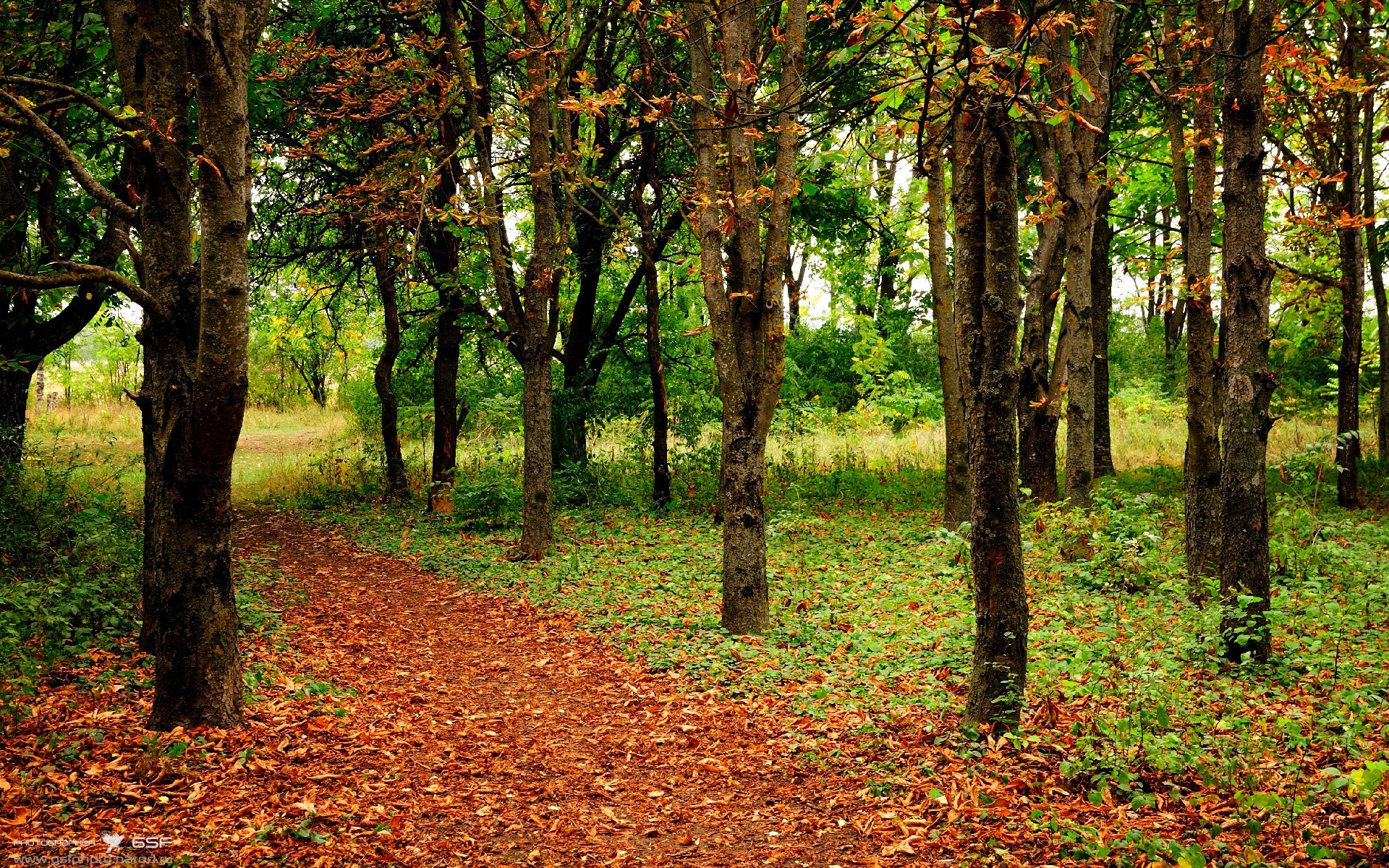 开云·体育官网-马克·阿特金森：南非锋线上的超级速度，帮助球队锁定胜局，马丁-阿特金森